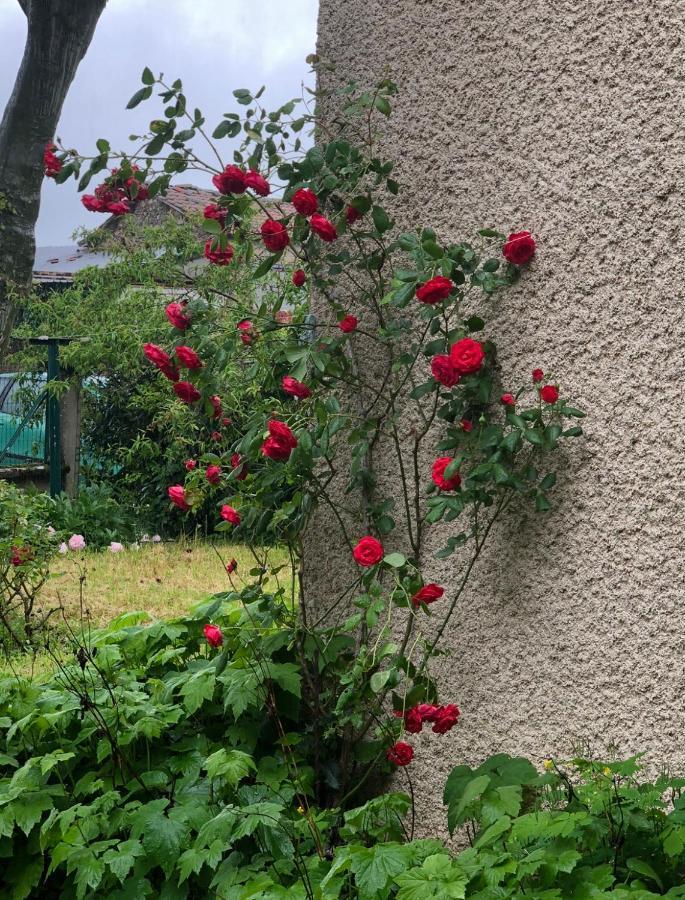 Gite De Pampe Lune & Spa Pampelonne Екстериор снимка